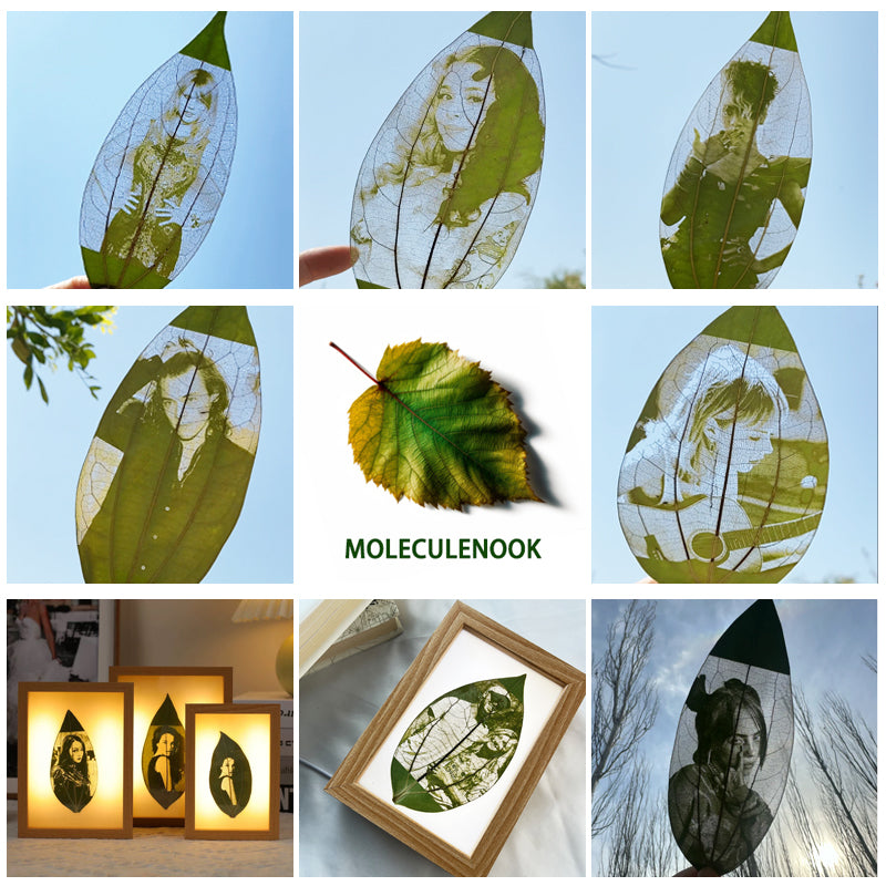Custom Leaf Carving Photos